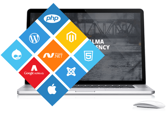 Website Development Company in Delhi/ NCR